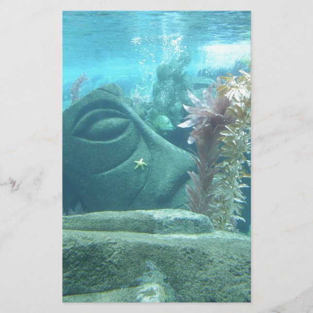 En World Underwater - Stenstaty-bild (Framsida)