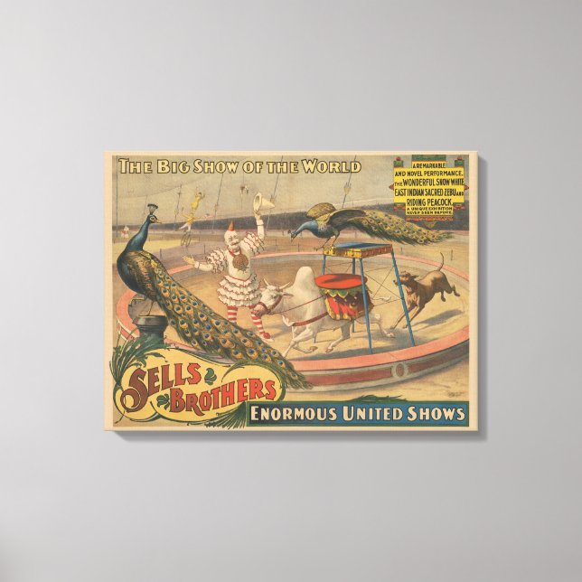 En Zebu och Peacock med inredd tränare Canvastryck (Framsida)