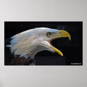Enagle för storskrynkning poster