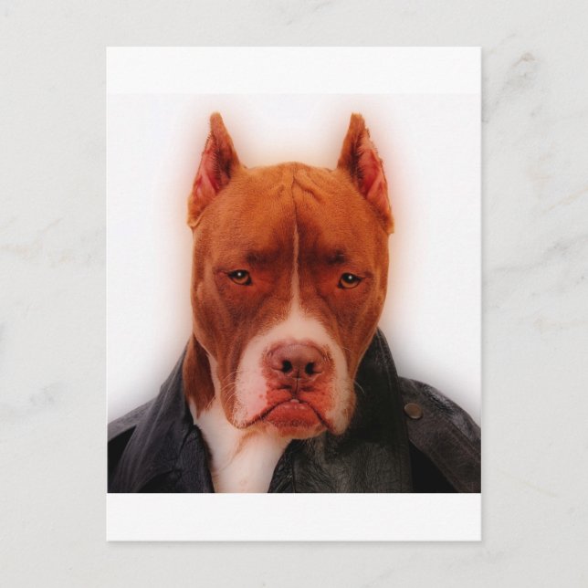 Enastående punkt vykort (Framsida)