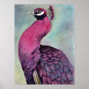 Enastående Shock rosa Peacock Poster