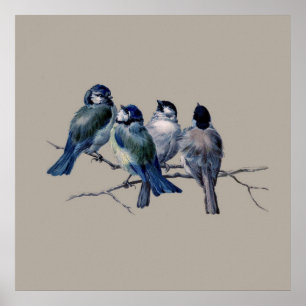 Enastående Vintage Art Blue Birds på gren x 4 Gift Poster