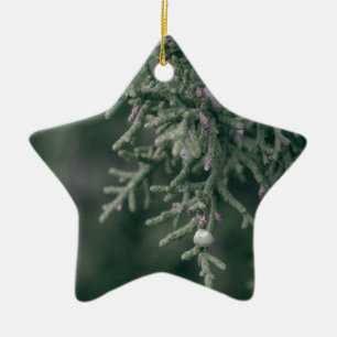 Enbär Julgransprydnad Keramik