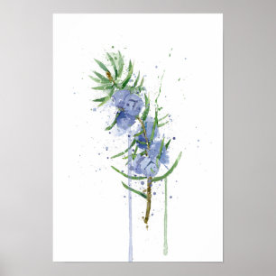 Enbär Poster