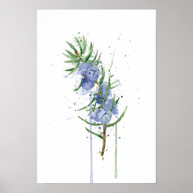 Enbär Poster (Framsidan)