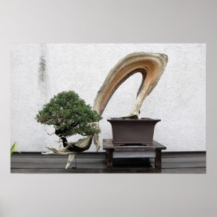 EnBonsai Poster