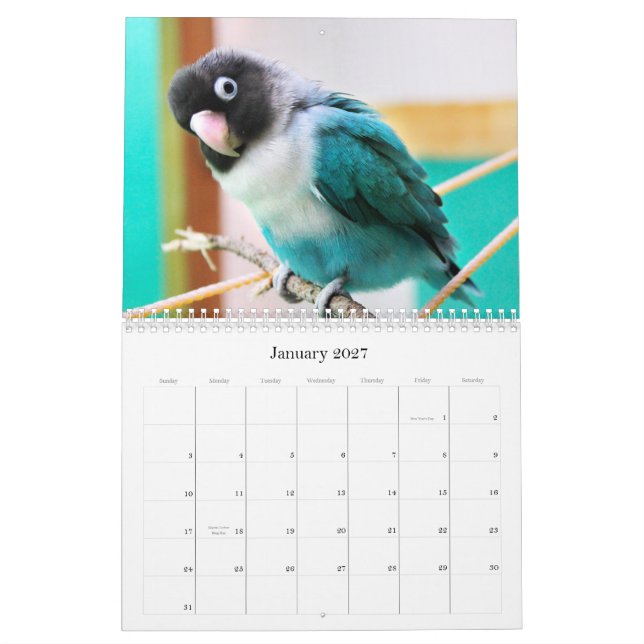 Encentmynt-Pico lovebirds Kalender (Jan 2027)