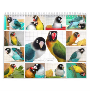 Encentmynt-Pico lovebirds Kalender