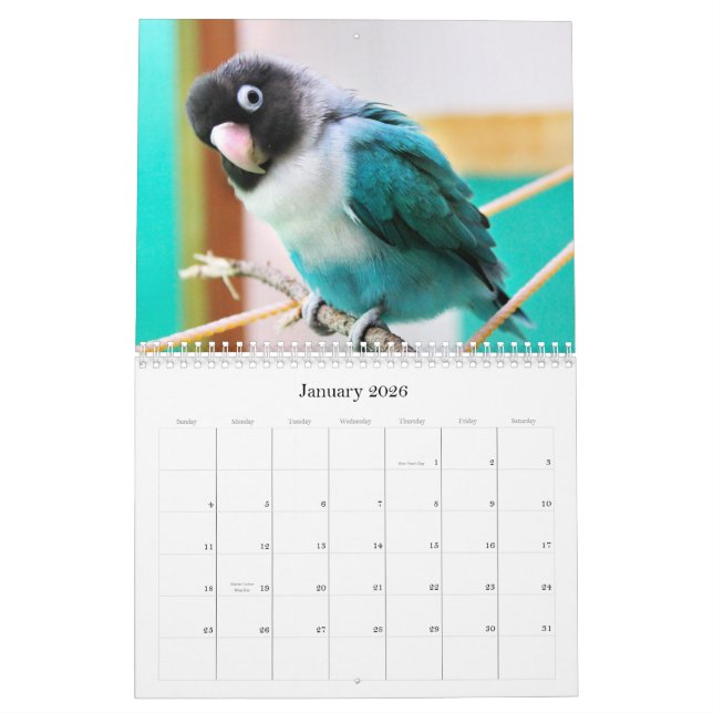 Encentmynt-Pico lovebirds Kalender (Jan 2026)