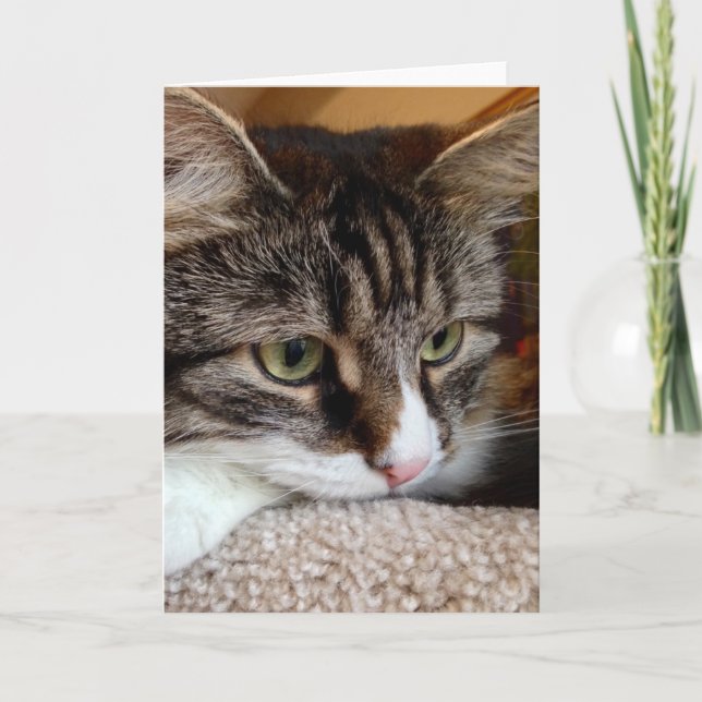 Encentmyntet för din Siberian katt för tankar Kort (Framsida)