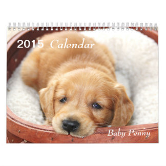 Encentmyntkalender för 2015 baby kalender