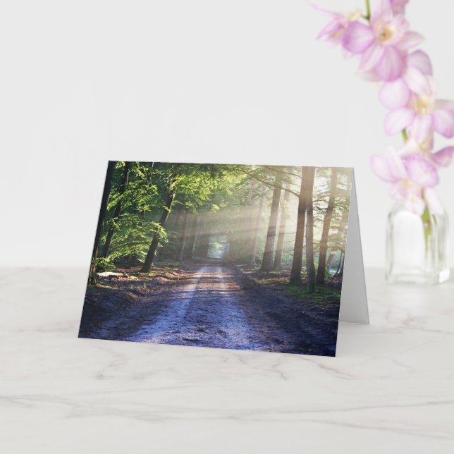 Enchanted Forest Road 2 Kort (Orkide)