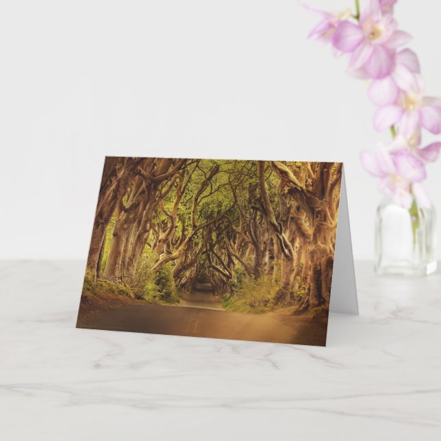 Enchanted Forest Road 4 Kort (Orkide)