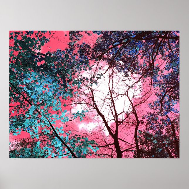 Enchanted   poster (Framsidan)