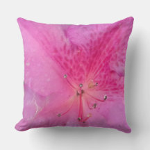 Enchanting Bloom 20 x 20 tum