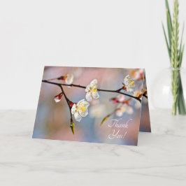 Enchanting Japansk Apricot Flowers Tack Kort