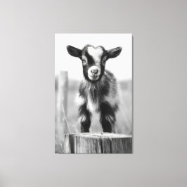 Enchanting Monochromatic Tranquil Baby Goat Canvastryck