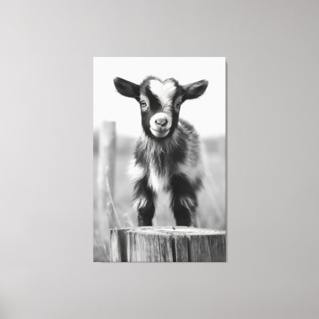 Enchanting Monochromatic Tranquil Baby Goat Canvastryck (Framsida)