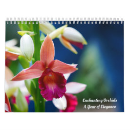 Enchanting Orchids Kalender