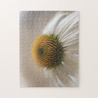 Enchanting White Swan Echinacea Puzzle Pussel