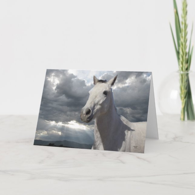 Encouragement Horse Storm Card - Westernt Kort (Framsida)