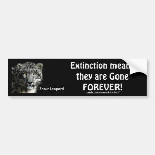 ENDANGERED SNÖ LEOPARD Bumper Stickers Bildekal