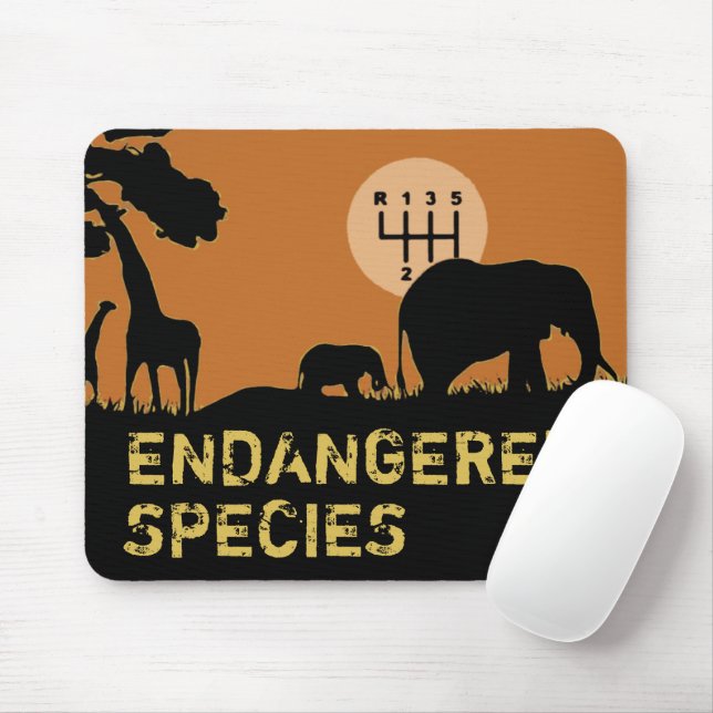 ENDANGERED SPECIES MUSMATTA (Med mus)