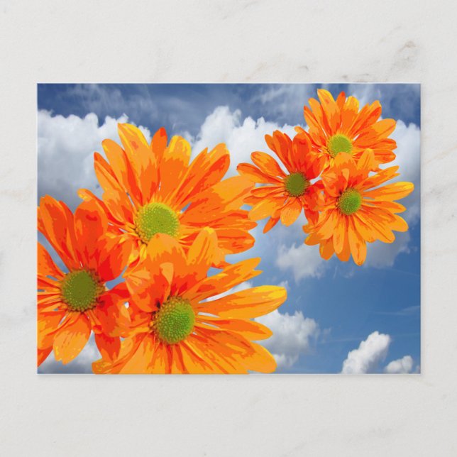 Endast 3 Blommar i Gerbera-Daisyn + din text och d Vykort (Framsida)