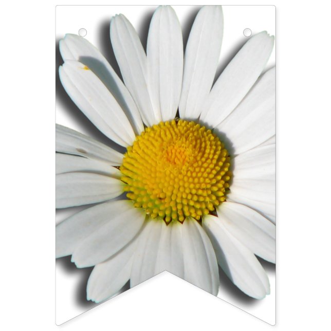 Endast en margueriteflygg Blommar + din ryggstödsm Vimplar (Första flaggan)