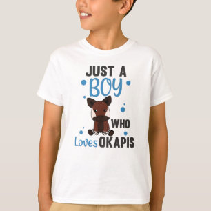 Endast en pojke i Okapis Kärlek - Waldgiraffe Zebr T Shirt