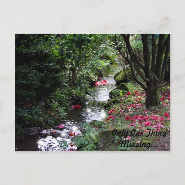 Endast ett Sak-vykort saknas Vykort (Framsida)