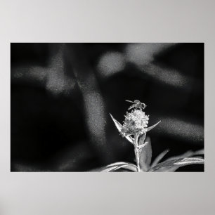 Endast flyg guld poster