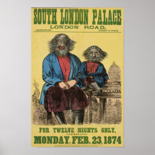 Endast för tolv nätter Poster