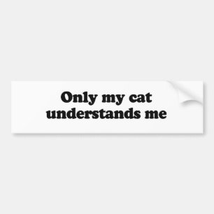 Endast förstår min katt mig bildekal