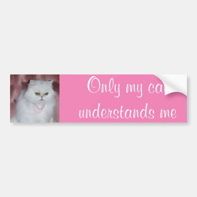 Endast förstår min katt mig bildekalperser bildekal (Framsidan)