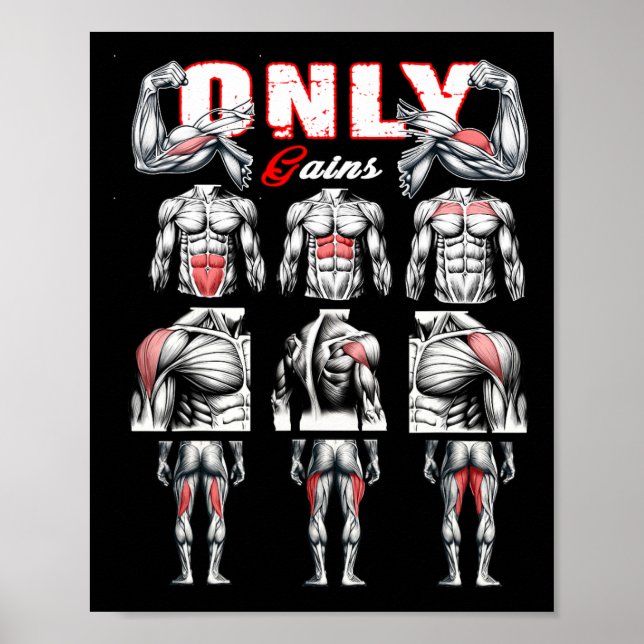 Endast Gains Bodybuilding Workout Gym1 Poster (Framsidan)