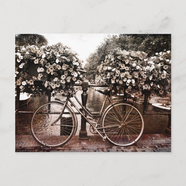 Endast i Amsterdam Vykort (Framsida)