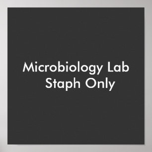 Endast mikrobiologi Lab Staph Poster