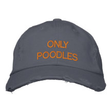 ENDAST PUDEL