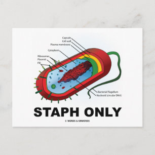 Endast stab (Bacteria Health Medicine Humor) Vykort