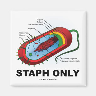 Endast staph (Prokaryote Health Medicine Humor) Magnet