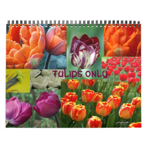 Endast tulpaner kalender