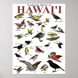 Endemiska fåglar på Hawai'i Poster
