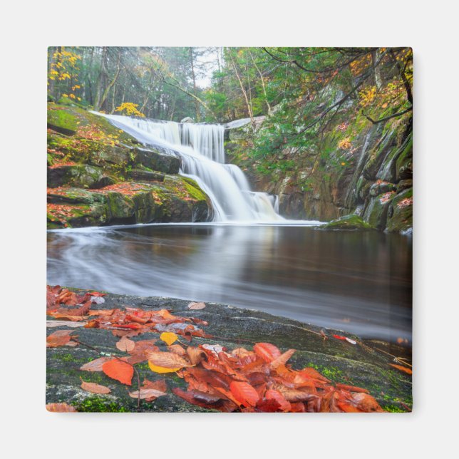 Enders fall i Fall Magnet (Framsidan)