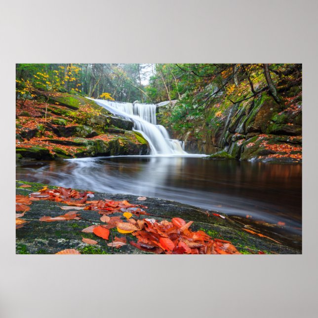 Enders fall i Fall Poster (Framsidan)