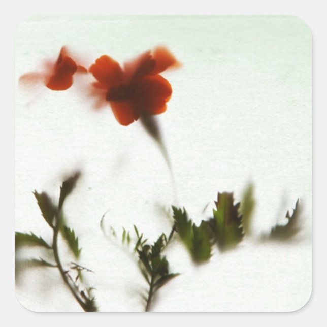 Endlich Frühling! Fyrkantigt Klistermärke (Framsida)