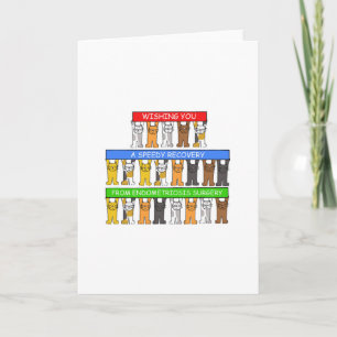 Endometrios kirurgi Snabb återhämtning. Kort