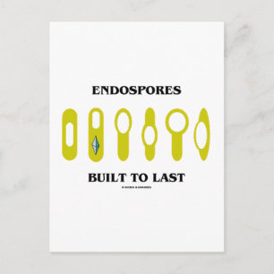 Endosporer Byggt att vara (bakteriell attityd) Vykort