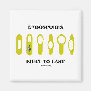 Endospores byggde för att vara (den bakterie- magnet