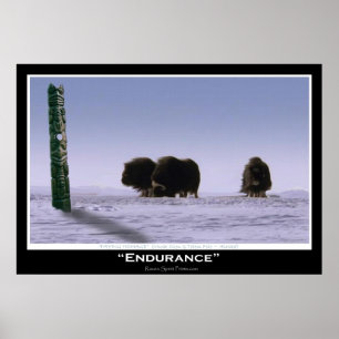 "ENDURANCE" Poster Musse Oxen & Totem Pole Art